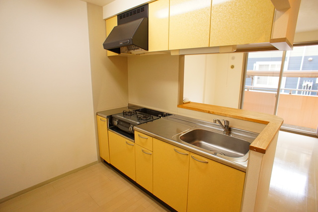 ＲＥＳＩＤＥＮＣＥ　Ｈｉｌｌ　Ｗｅｓｔ裏館 102 キッチン