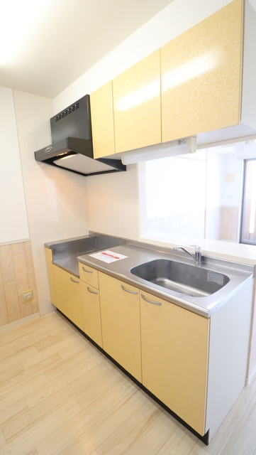 ＲＥＳＩＤＥＮＣＥ Ｈｉｌｌ Ｅａｓｔ河渡 307 キッチン
