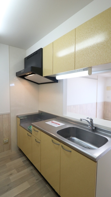 ＲＥＳＩＤＥＮＣＥ Ｈｉｌｌ Ｅａｓｔ河渡 207 キッチン