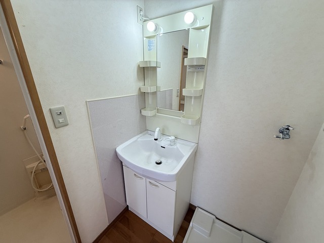 グリーンハイツあさひ 101 洗面所