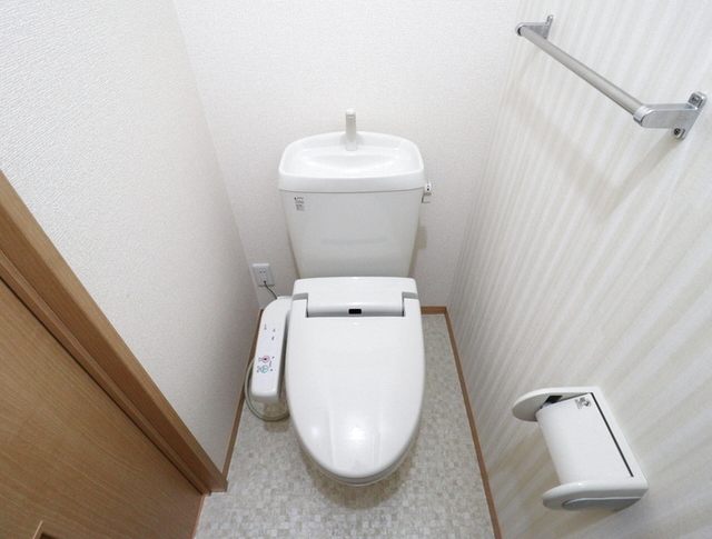 イーストヴィレッジ　A 202 トイレ