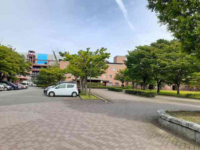 アルドーレ　Ａ 204 その他