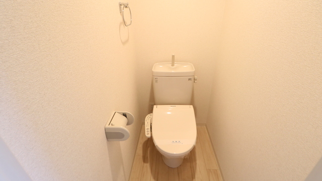 ＲＥＳＩＤＥＮＣＥ Ｈｉｌｌ Ｅａｓｔ河渡 307 トイレ