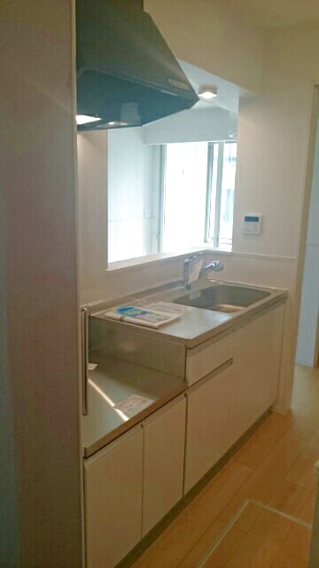 スターシャⅠ 104 キッチン
