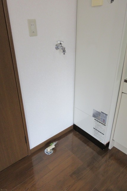 グリーングラスⅠ 101 その他部屋・スペース