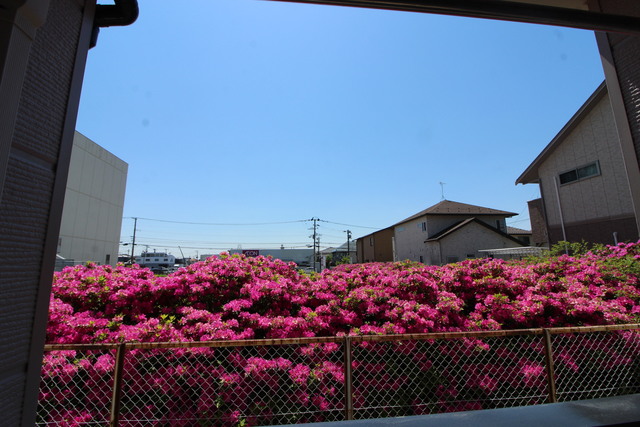 ＳＡＪＡ－さくら 104 眺望
