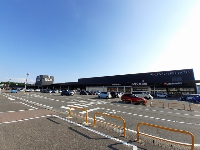 ヒカルサ新潟姥ケ山 203 その他