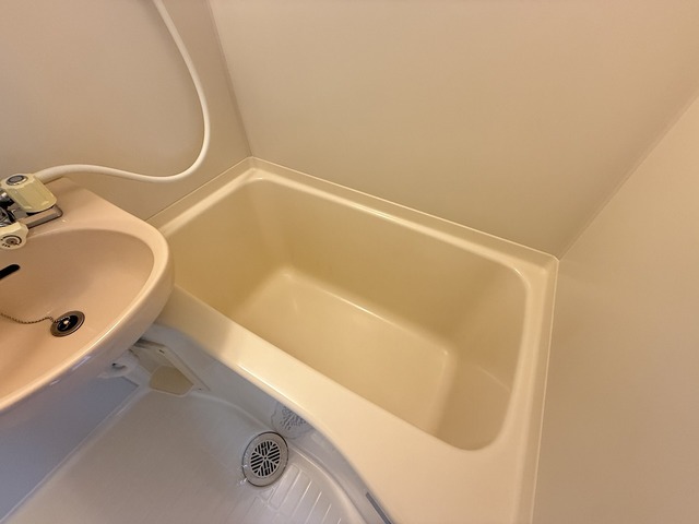ハーモニー新津 202 浴室