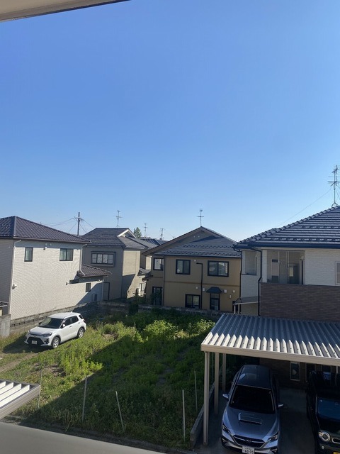 ラフレシア 202 眺望