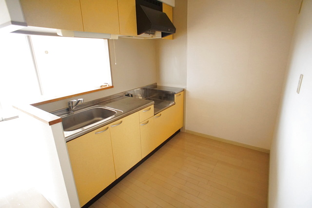 ＲＥＳＩＤＥＮＣＥ　Ｈｉｌｌ　Ｗｅｓｔ裏館 401 キッチン