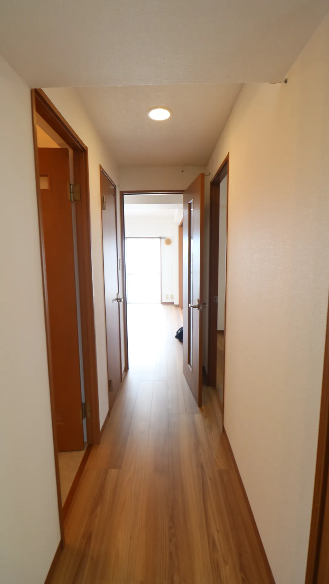 ハイツ船木 402 その他部屋・スペース