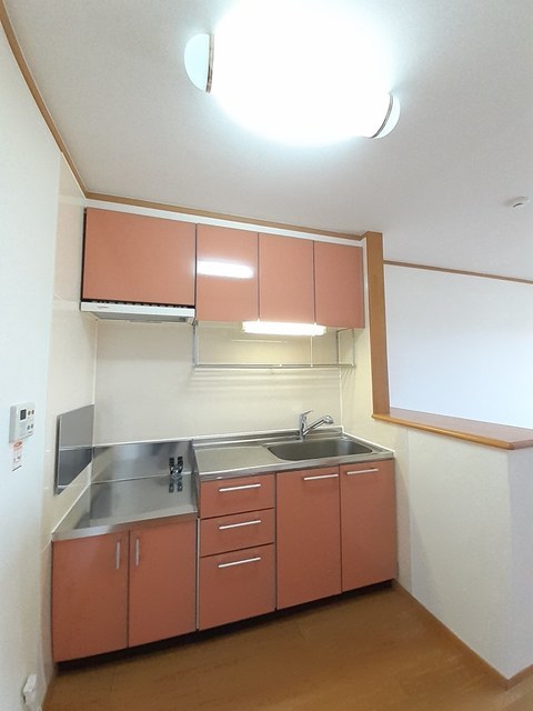 ライゼカーサＡ 202 キッチン
