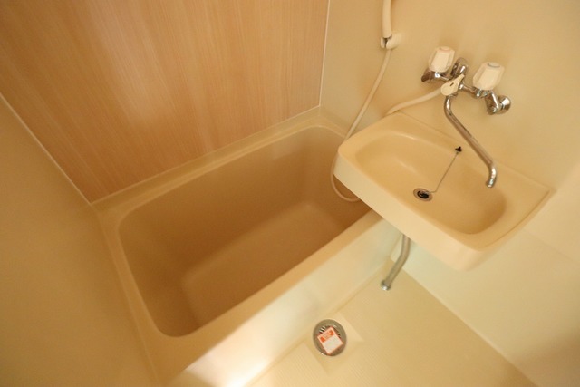 Lily-be関屋恵町 A302 浴室