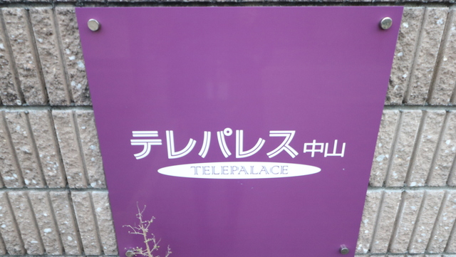 テレパレス中山　１号館 101 その他