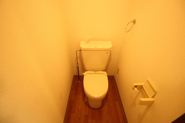 Lily-be関屋恵町 B302 トイレ
