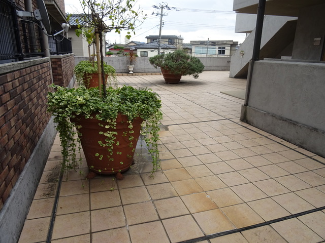 フラワーフェアリ B301 玄関