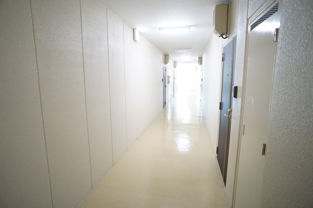 ピュアみやび3番館 406 玄関