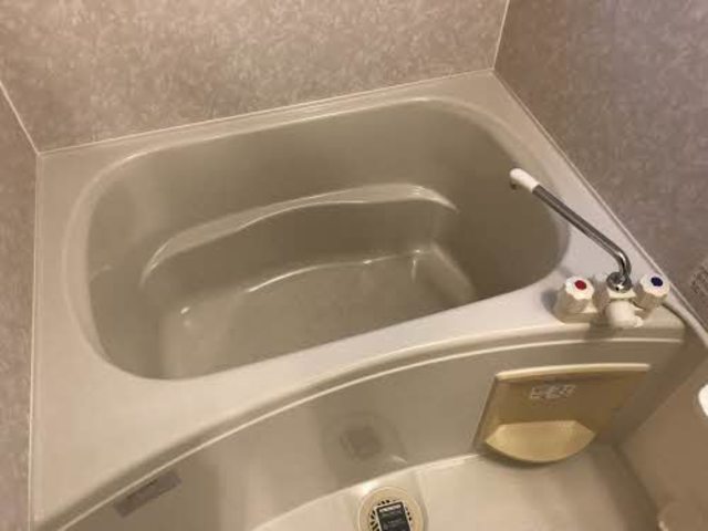 シャーメゾン０２９ 103 浴室