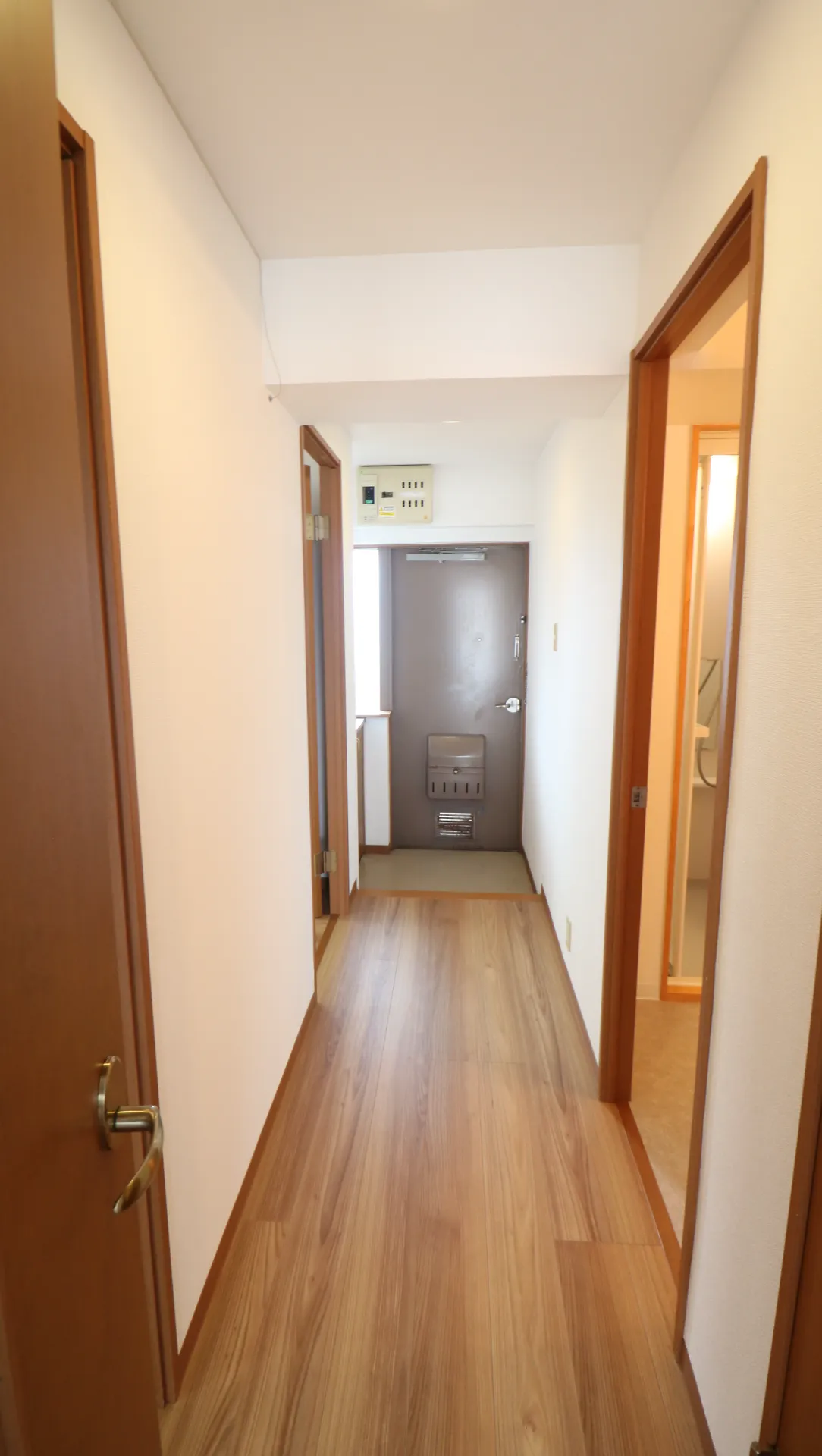 ハイツ船木 402 玄関