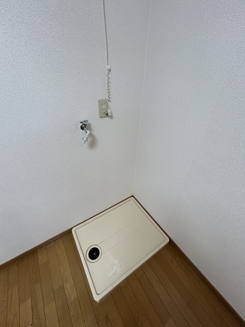 ピジョンB 105 その他