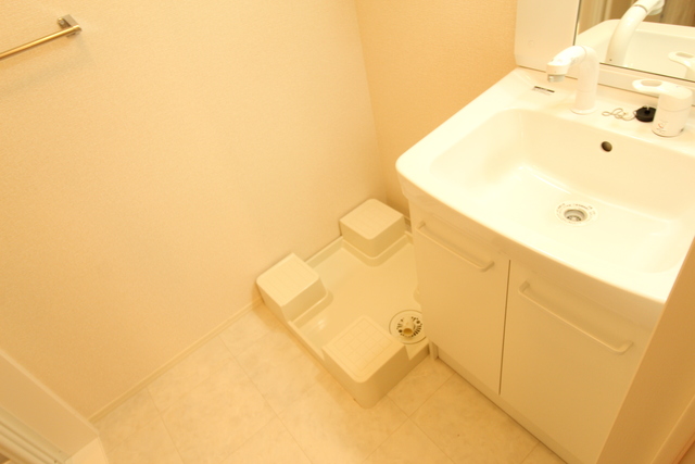 D-room SUMON弁天橋Ⅰ 303 洗面所