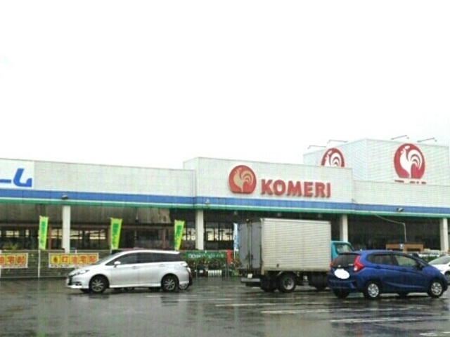 ハマメリース 102 その他
