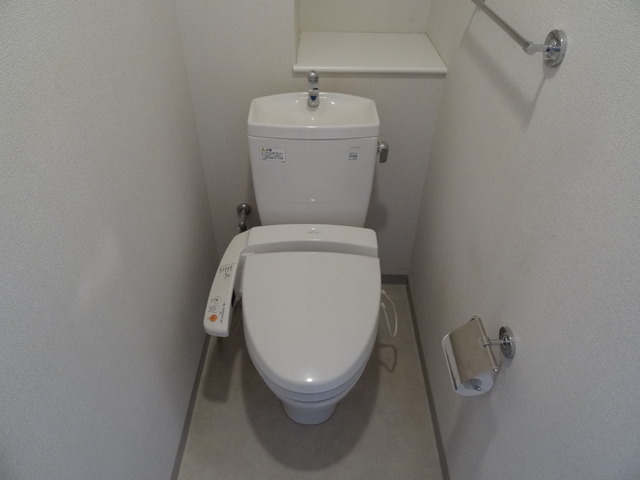 ダイアパレス川端町 502 トイレ