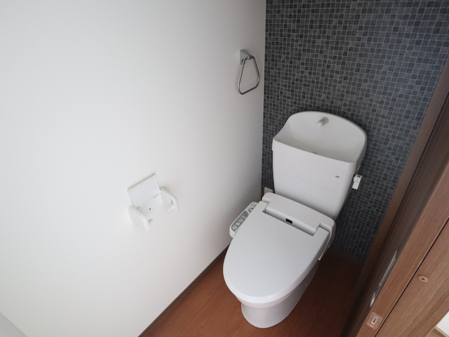 ヒルズ聖籠 Duplex 102 トイレ