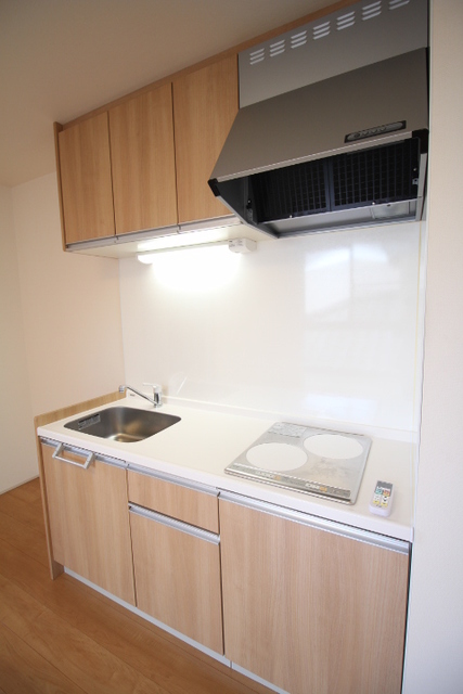 Ｃｏｃｏｏｎ有明台 202 キッチン