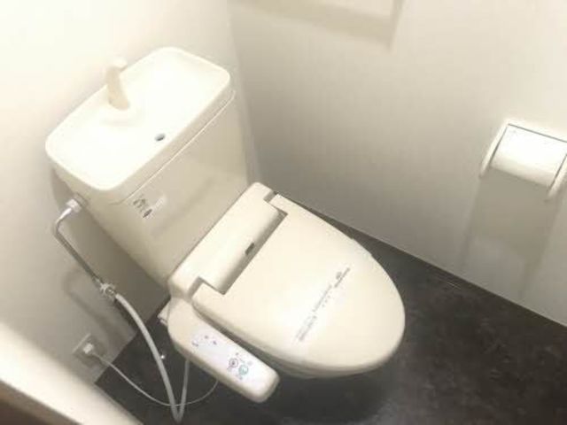 Ｍハイツ　Ⅳ 203 トイレ