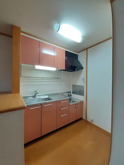 フィオレンテⅠ 203 キッチン