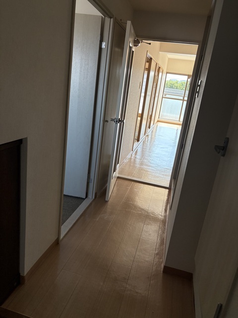 グリーンパレス（下門前） 303 その他
