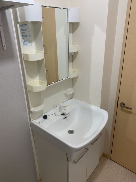 セジュール妙高 301 洗面所