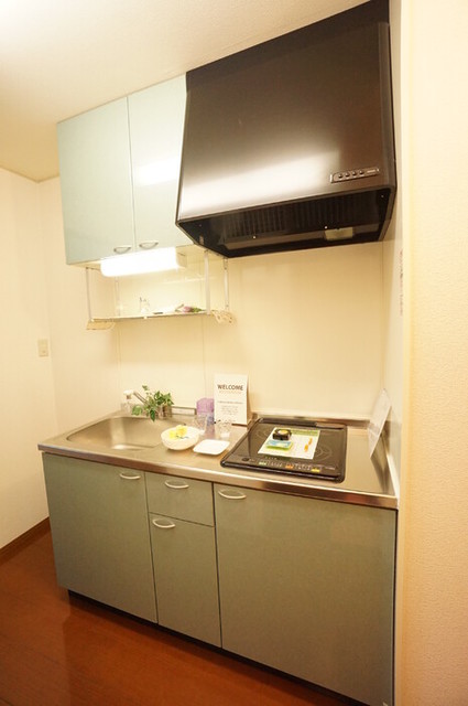 リビングカメリア　Ａ 106 キッチン