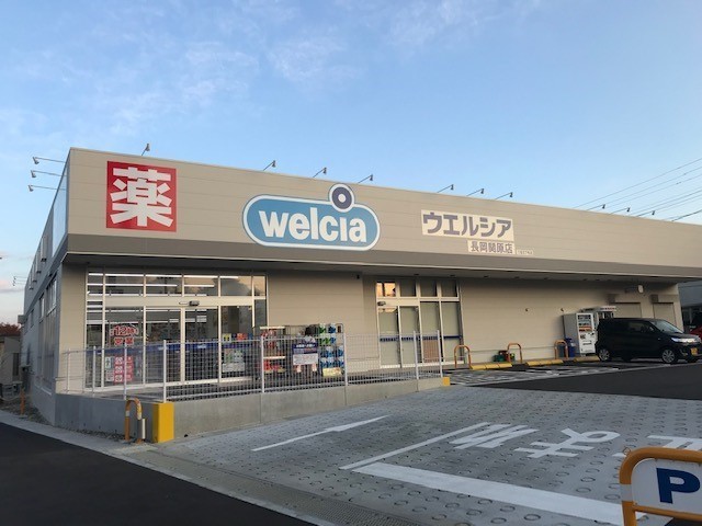 ウェルヴィレッジⅣ 203 その他