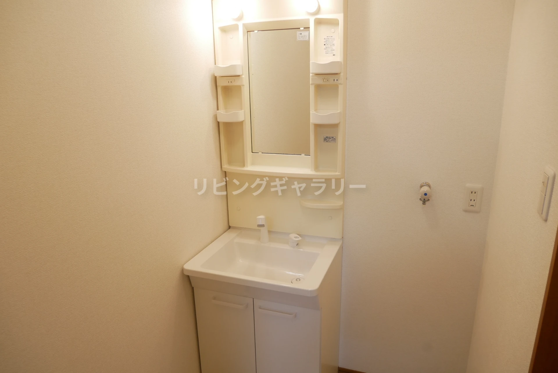 エスポワール 201 洗面所