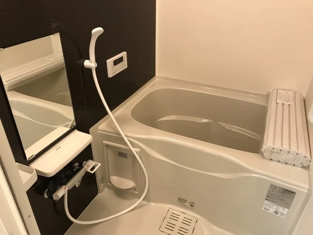 ビオロン 105 浴室