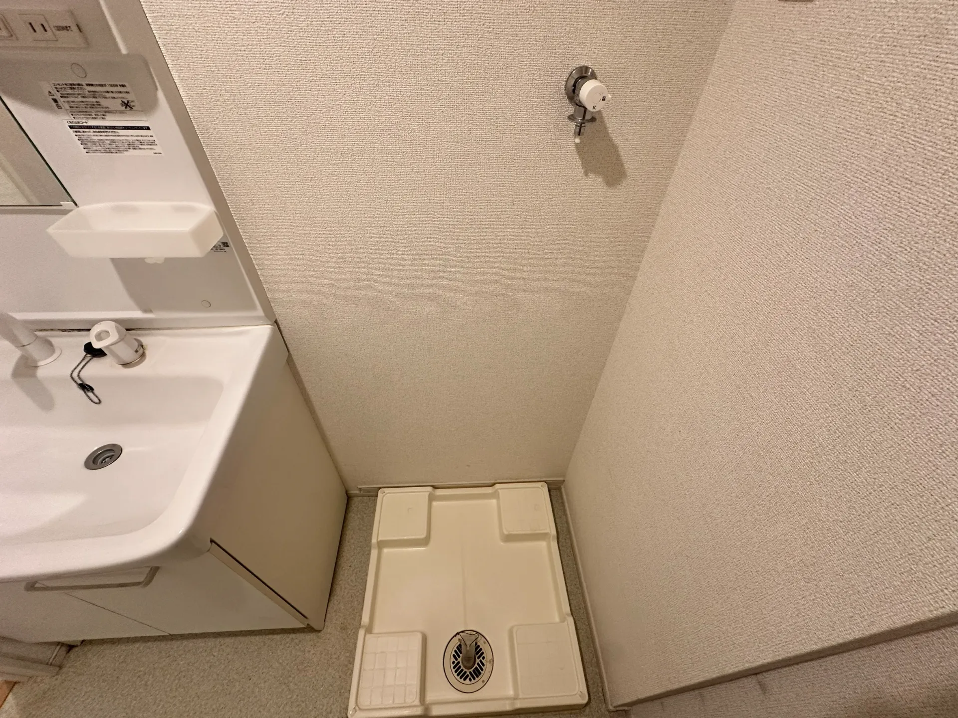 ジュネス 202 洗面所