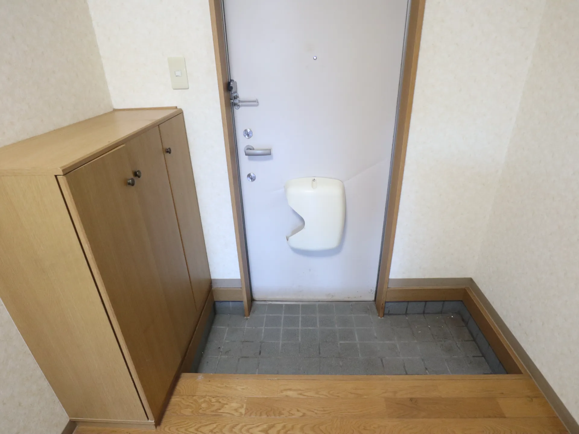 ジュネス 105 玄関