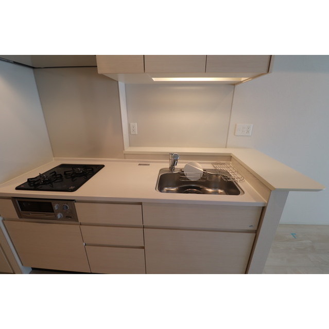 OPUS RESIDENCE SHINSAIBASHI SOUTH 0202 キッチン