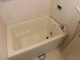 リバーサイド野畑 102 浴室
