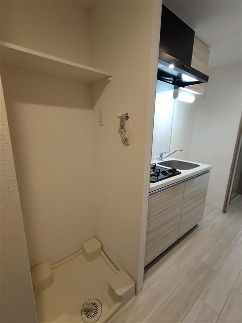 Ａｌｉｖｉｓ今福鶴見駅前 901 キッチン