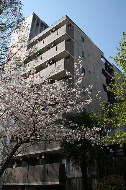 ルミエール西長堀 411 外観