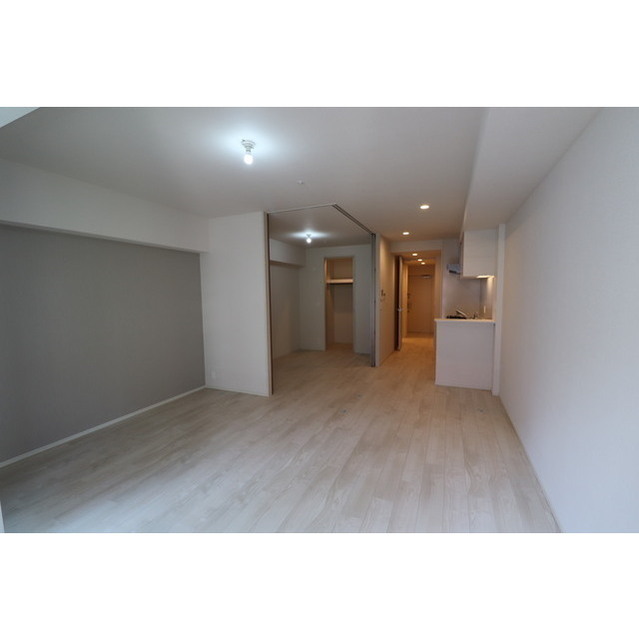 OPUS RESIDENCE SHINSAIBASHI SOUTH 0505 リビング