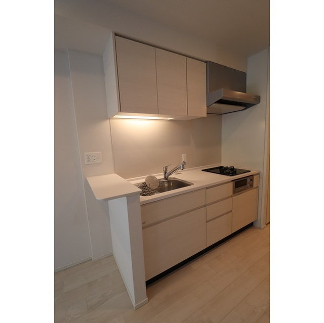 OPUS RESIDENCE SHINSAIBASHI SOUTH 1204 キッチン