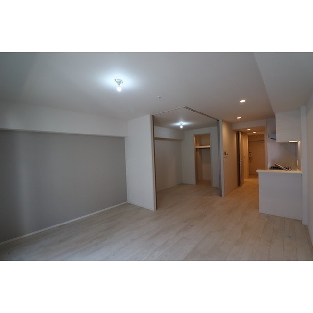 OPUS RESIDENCE SHINSAIBASHI SOUTH 0505 リビング
