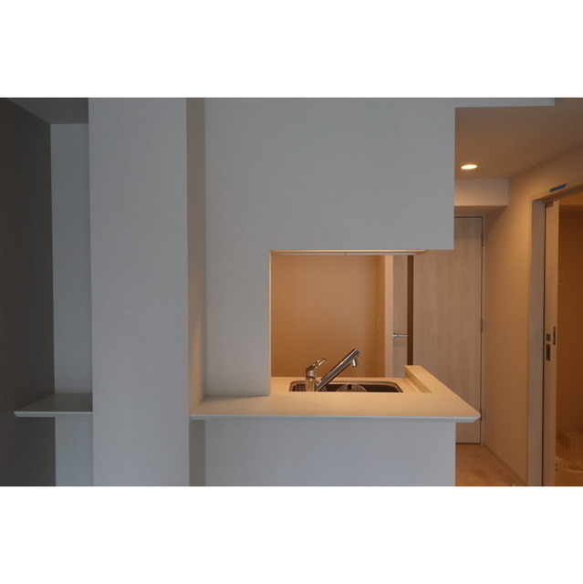 OPUS RESIDENCE SHINSAIBASHI SOUTH 1101 キッチン