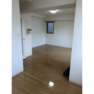 パラッツォ新町 501 浴室