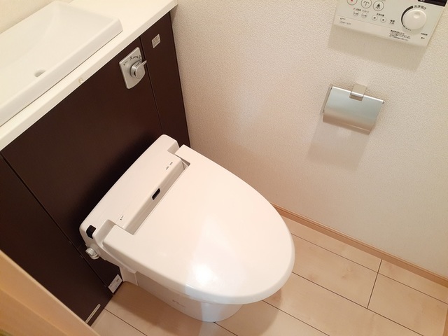 Ｈｅｉ Ｓｔａｄｔ 205 トイレ