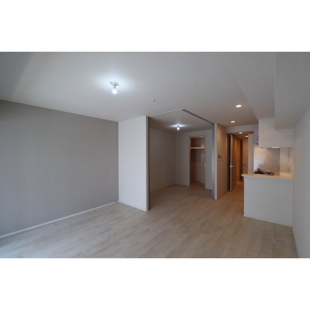 OPUS RESIDENCE SHINSAIBASHI SOUTH 1402 リビング